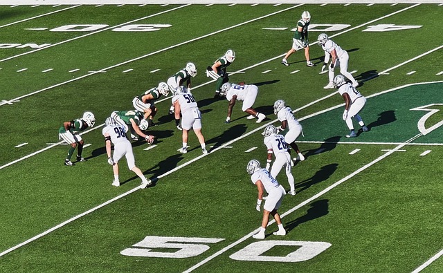 也成为湖人 也成为湖人